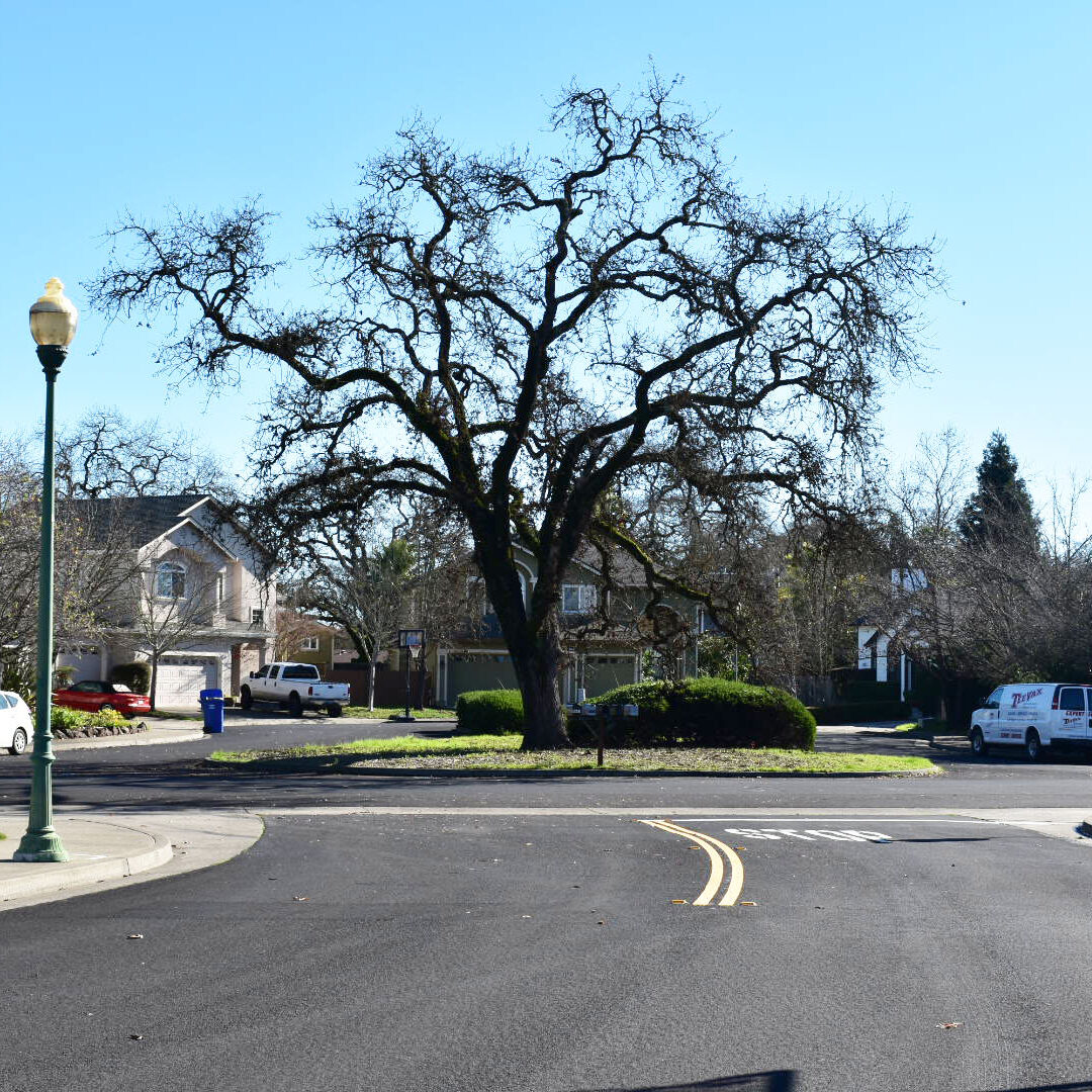 Pavement Preservation Program, Town of Windsor