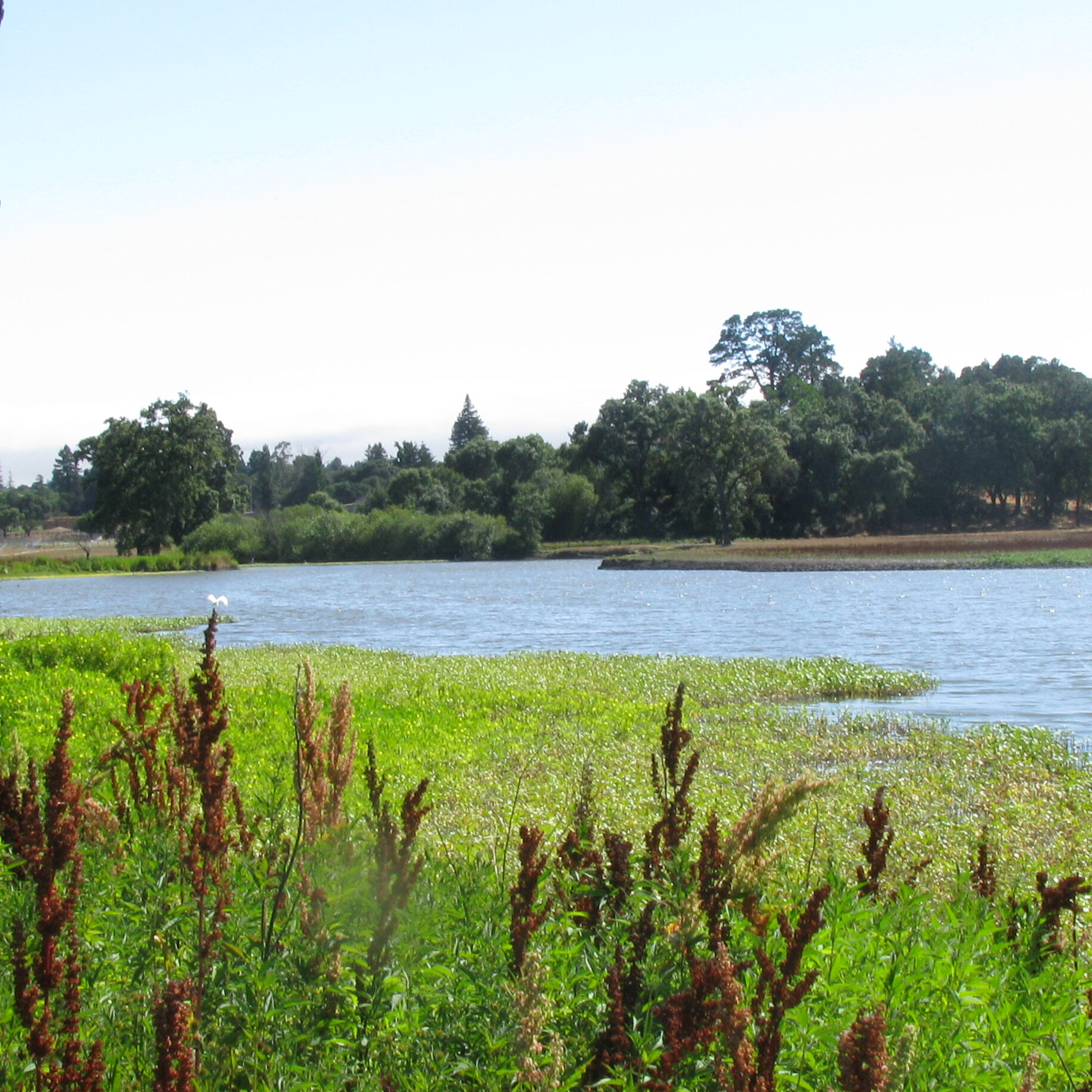 Sonoma County Regional Parks
